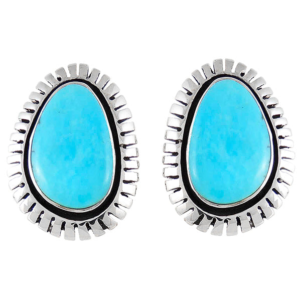 Turquoise Jewelry Earrings Sterling Silver E1155-C75