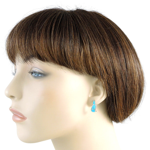 Sterling Silver Earrings Turquoise E1286-C05