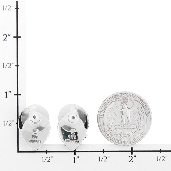 Turquoise Earrings Sterling Silver E1312-C75