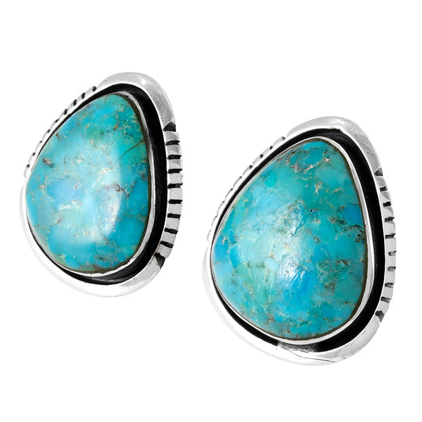 Turquoise Earrings Sterling Silver E1461-C75