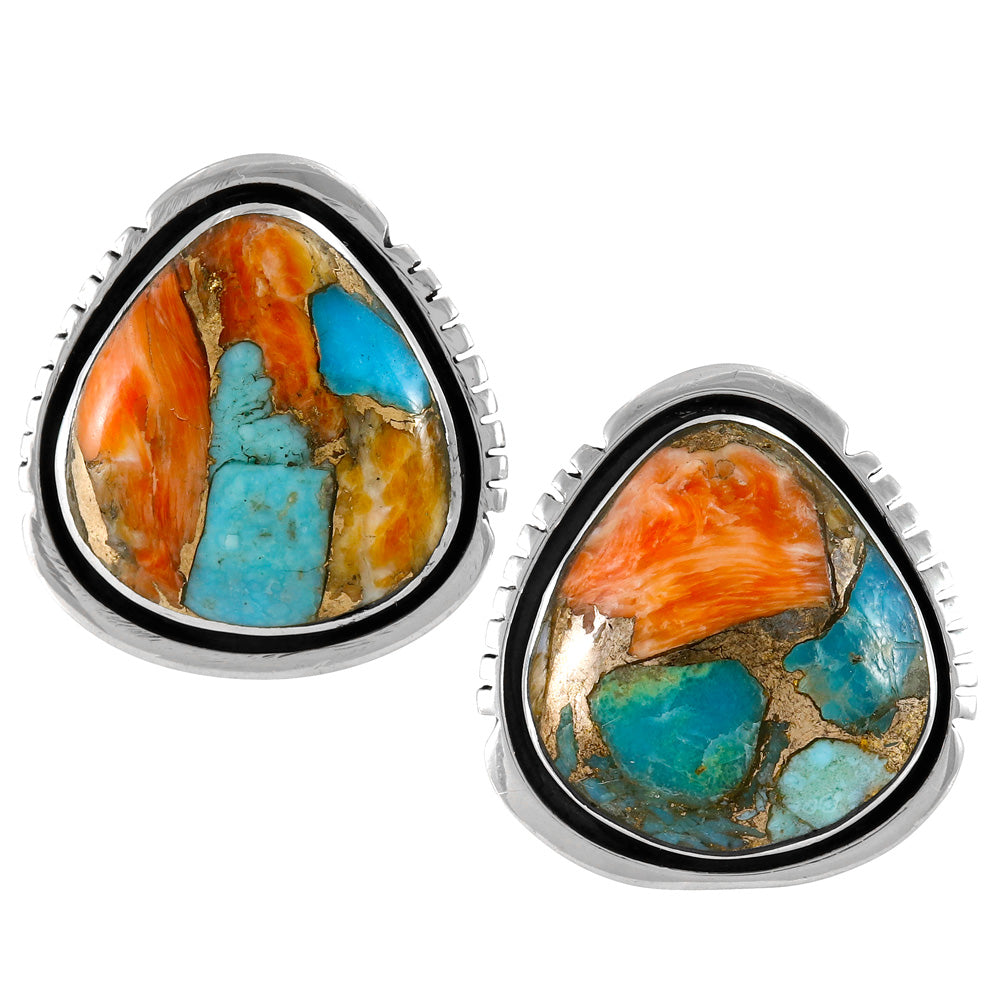 Spiny Turquoise Earrings Sterling Silver E1461-C89