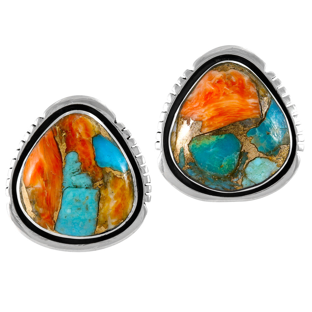 Spiny Turquoise Earrings Sterling Silver E1461-C89