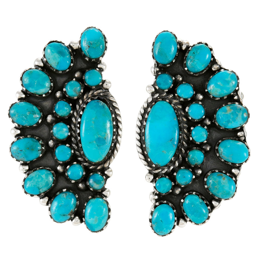 Turquoise Earrings Sterling Silver E1508-C75