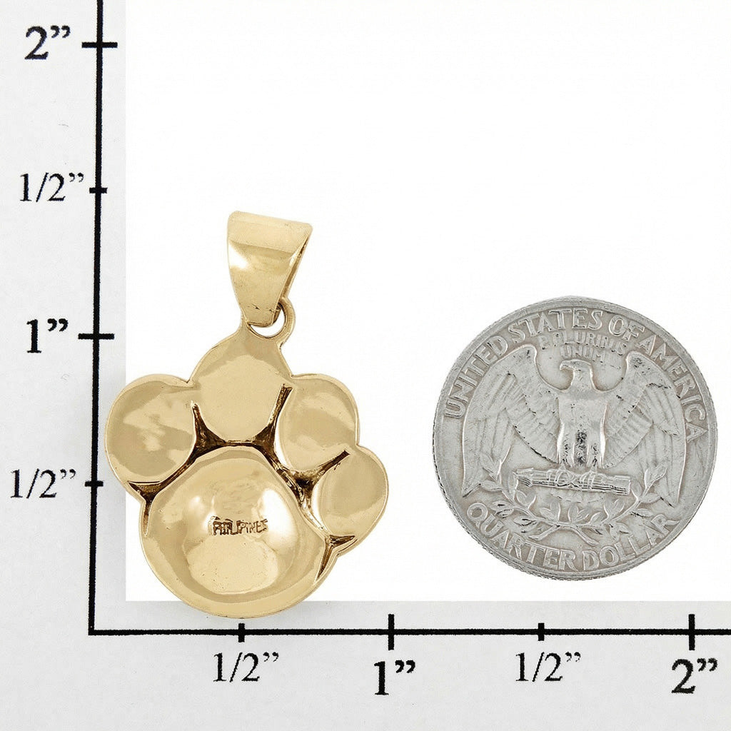 Rainbow Spiny Turquoise Dog Paw Pendant GoldBrass P3178-GB-C91